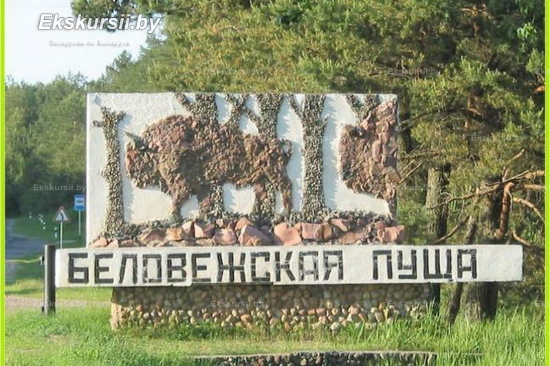 Беловежская пушча&nbsp;